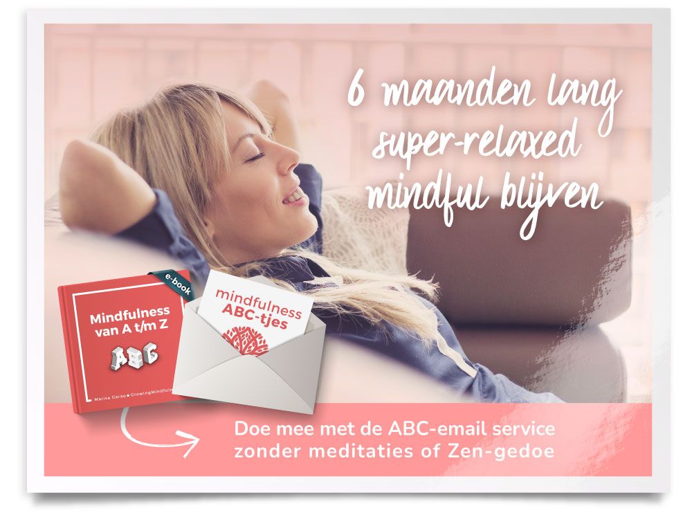 Koop Nu Het Mindfulness ABC