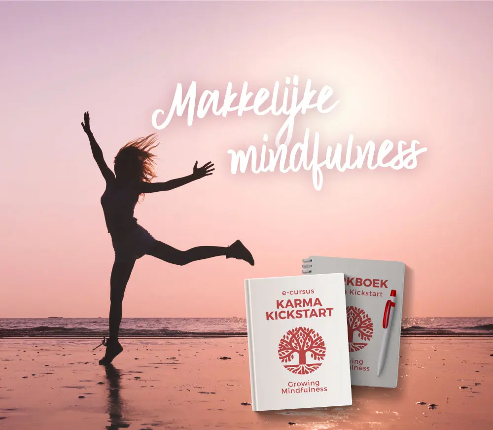 Het verschil tussen mindfulness en meditatie