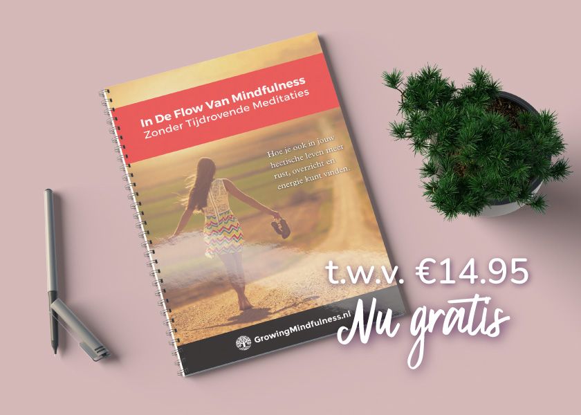 Gratis Mindfulness e-Boek Voor Jou!