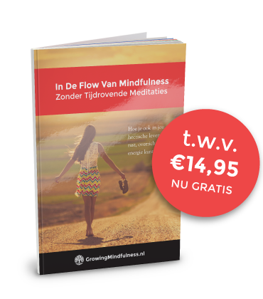 Met mindfulness word je stress en onvrede definitief de baas