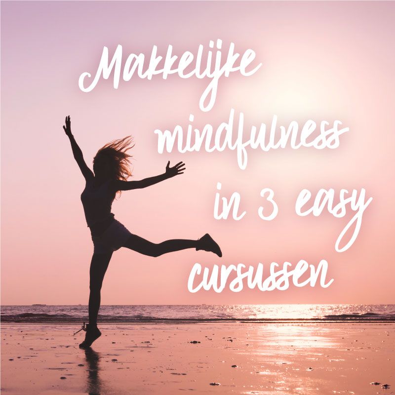 Je Mindfulness Mega Buddha Bundel