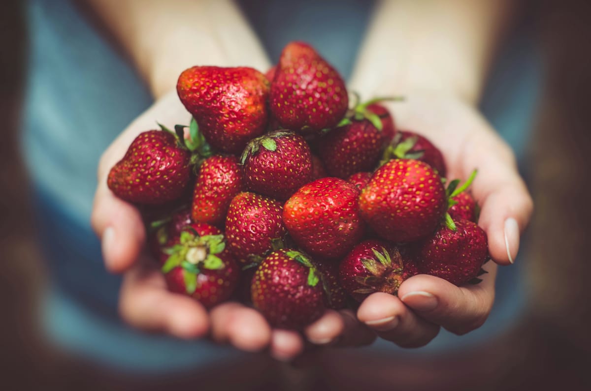 Gezond eten: hoe aandacht je helpt om betere keuzes te maken 🍎