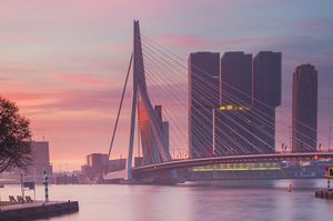 Mindfulness Rotterdam: zo kun je meteen aan de slag!