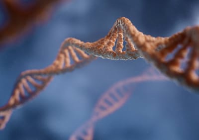 Ondersteun je mentale gezondheid met genetica en mindfulness