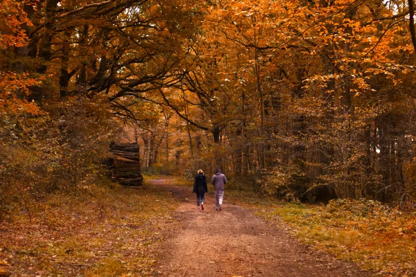 Met leefstijl-coaching werk je aan alle facetten van je leven