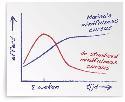 Mindfulness Cursus Effect