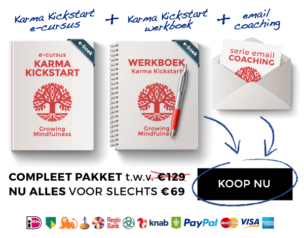 Koop Nu Mindfulness Cursus Karma Kickstart