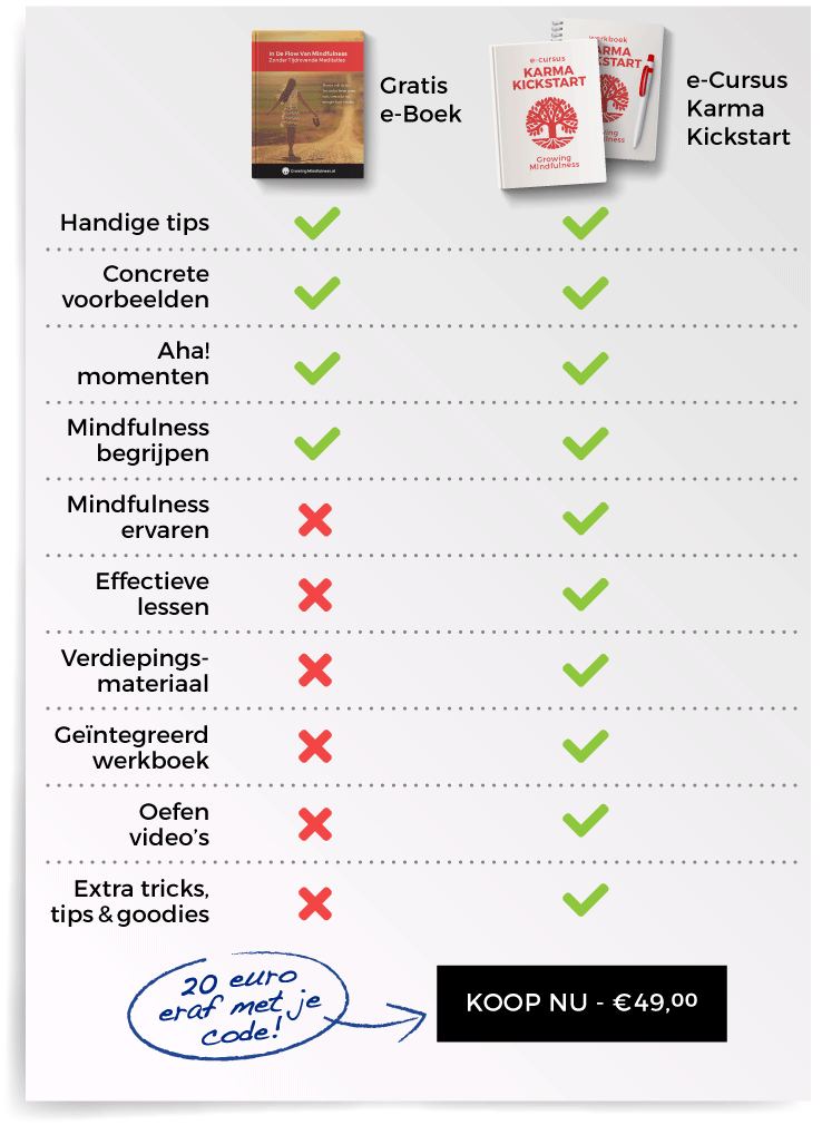 De e-Cursus is natuurlijk veel completer dan het gratis e-boek!